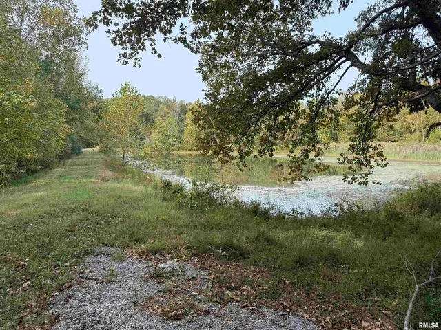 a view of a yard with a tree