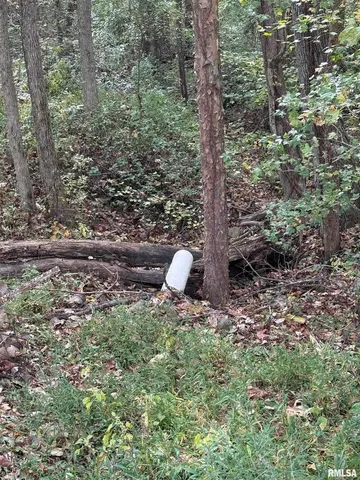 a view of a backyard with plants and a lake view