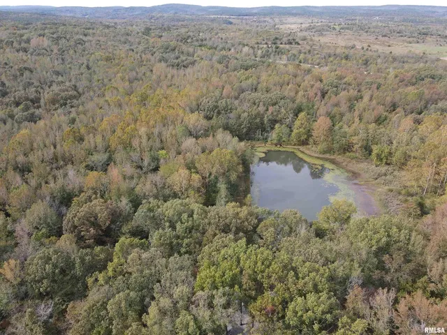 an aerial view of forest