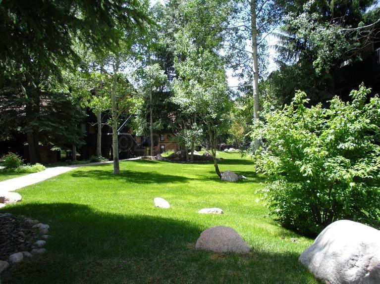 2958 South Frontage Road West, Unit C4 Vail, CO 81657 - Photo 10 of 16 lawn