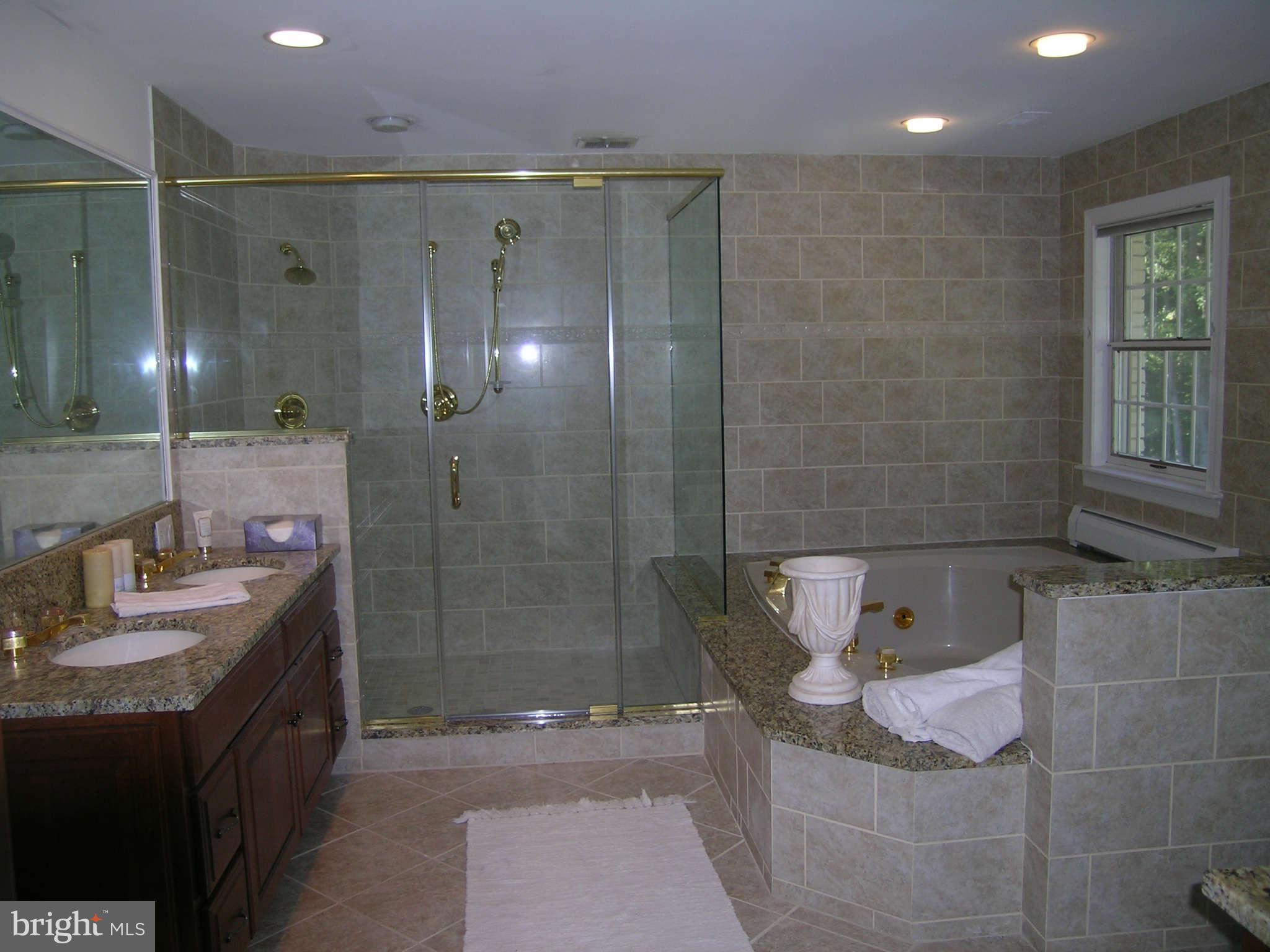 7570 Potomac Fall Road McLean, VA 22102 - Photo 11 of 20 a bathroom with a sink a toilet and shower