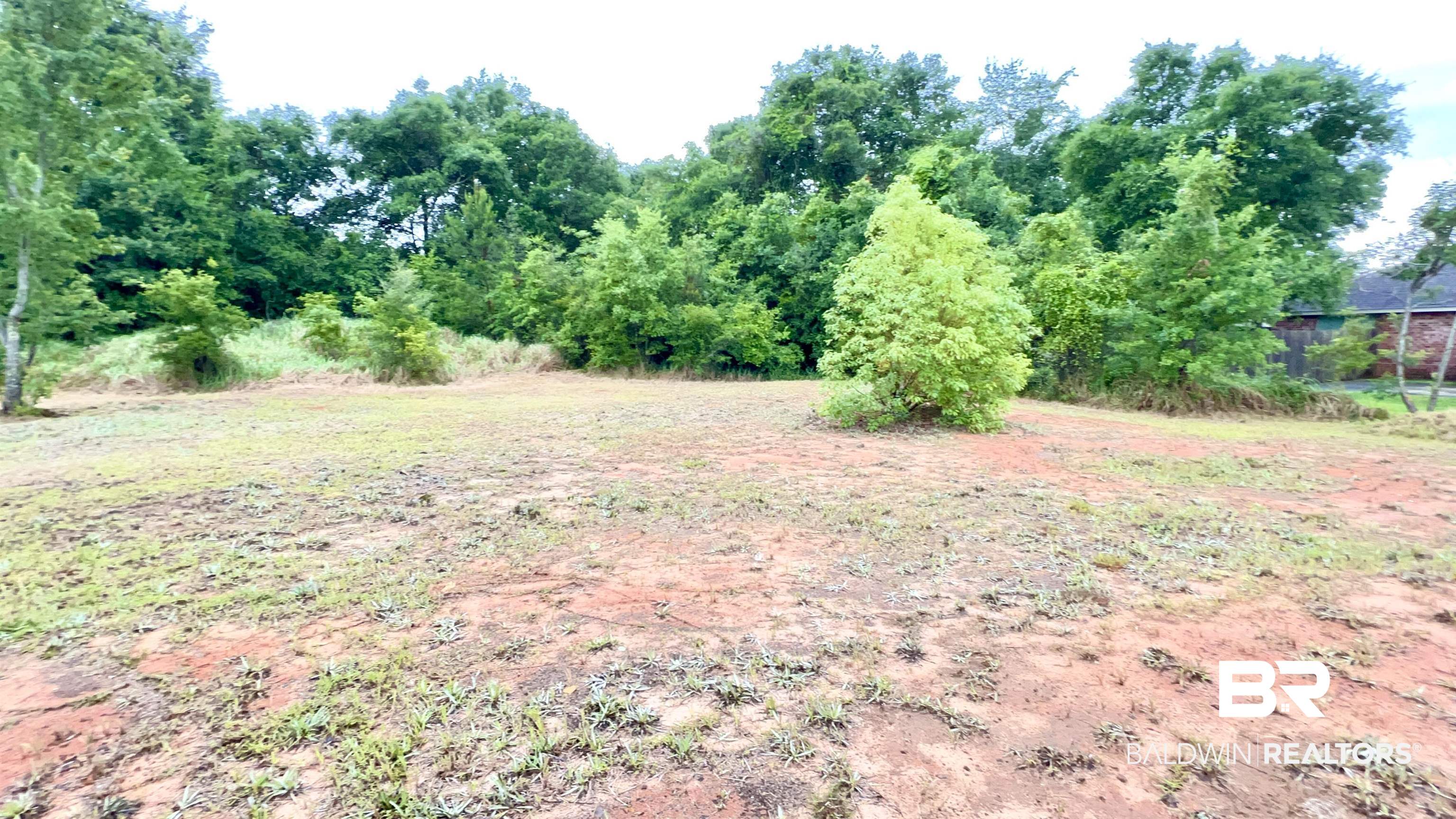 8579 Silver Maple Drive Mobile, AL 36619 - Photo 6 of 9