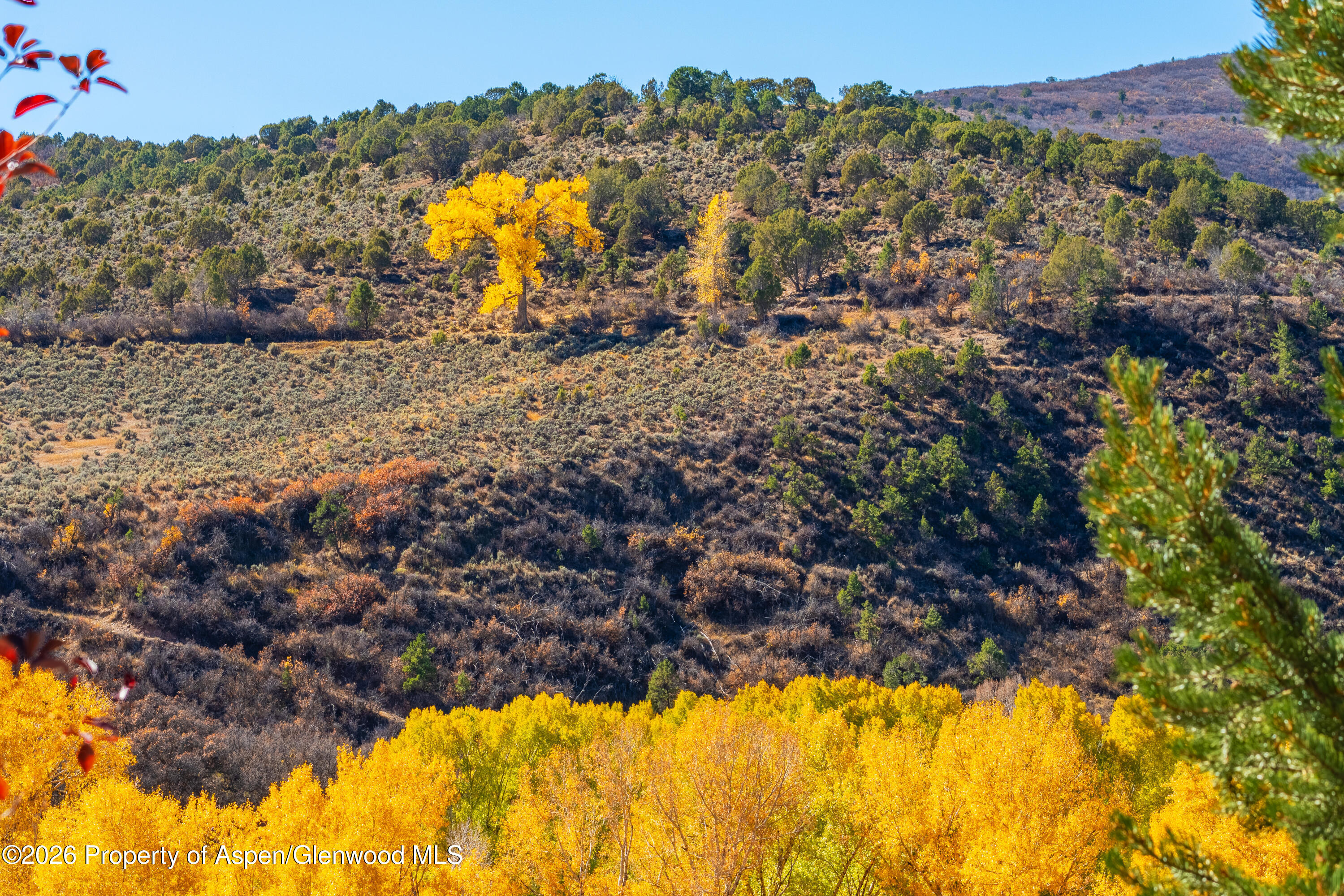 422 Sopris Creek Road Basalt, CO 81621 - Photo 47 of 50 Views 2