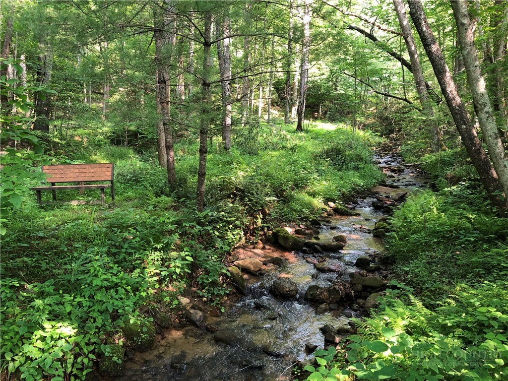 Lot 21 Bobcat Mountain Road Purlear, NC 28665 - Photo 33 of 46 a view of a lush green forest