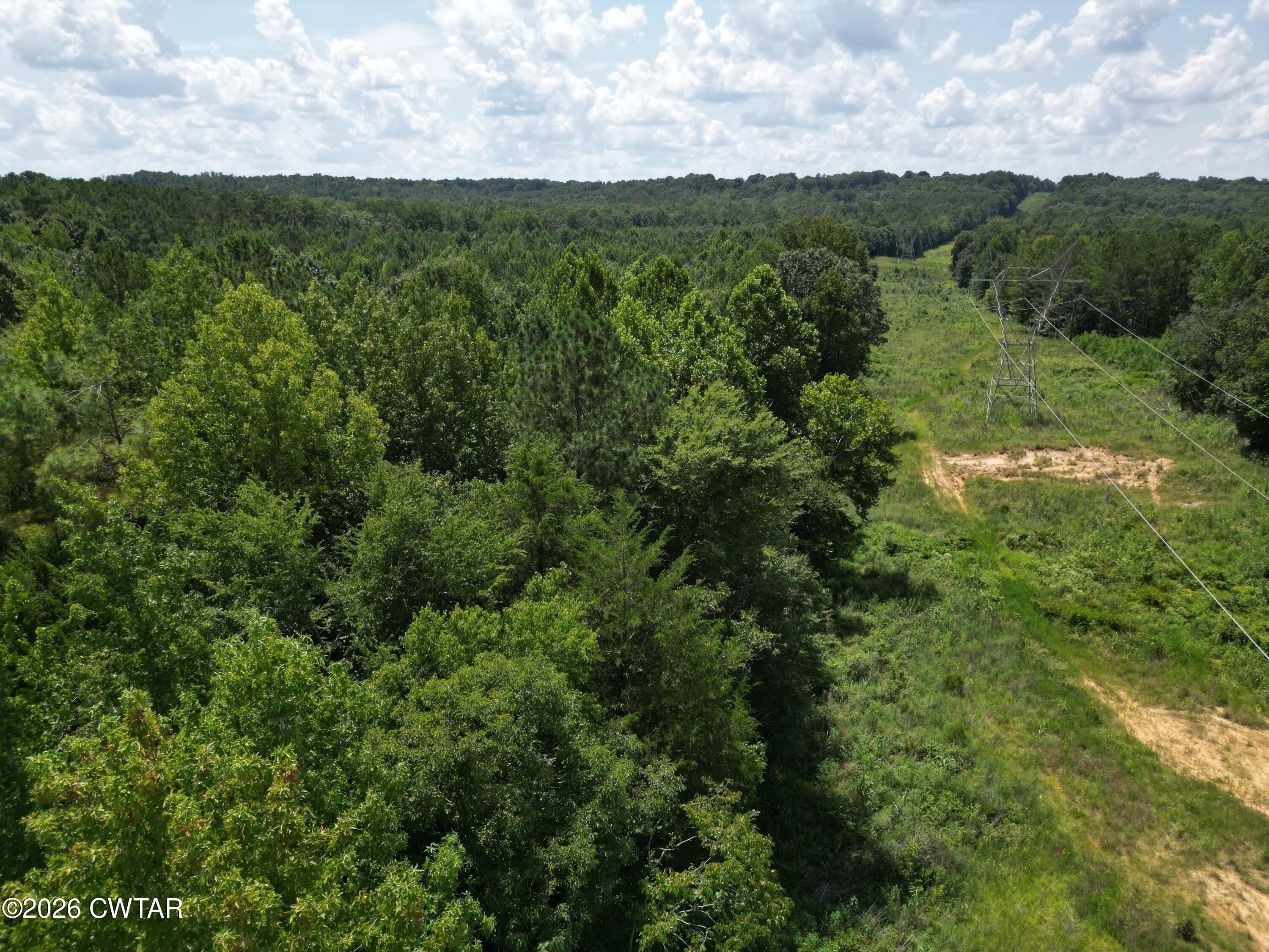 0 McAbee Road Jackson, TN 38301 - Photo 2 of 15 DJI_0624