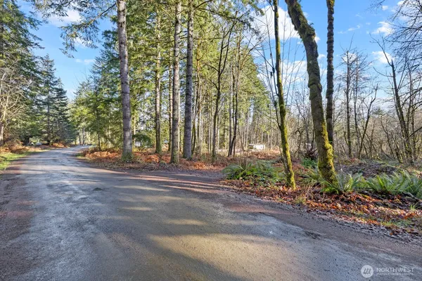 a view of a yard with large trees