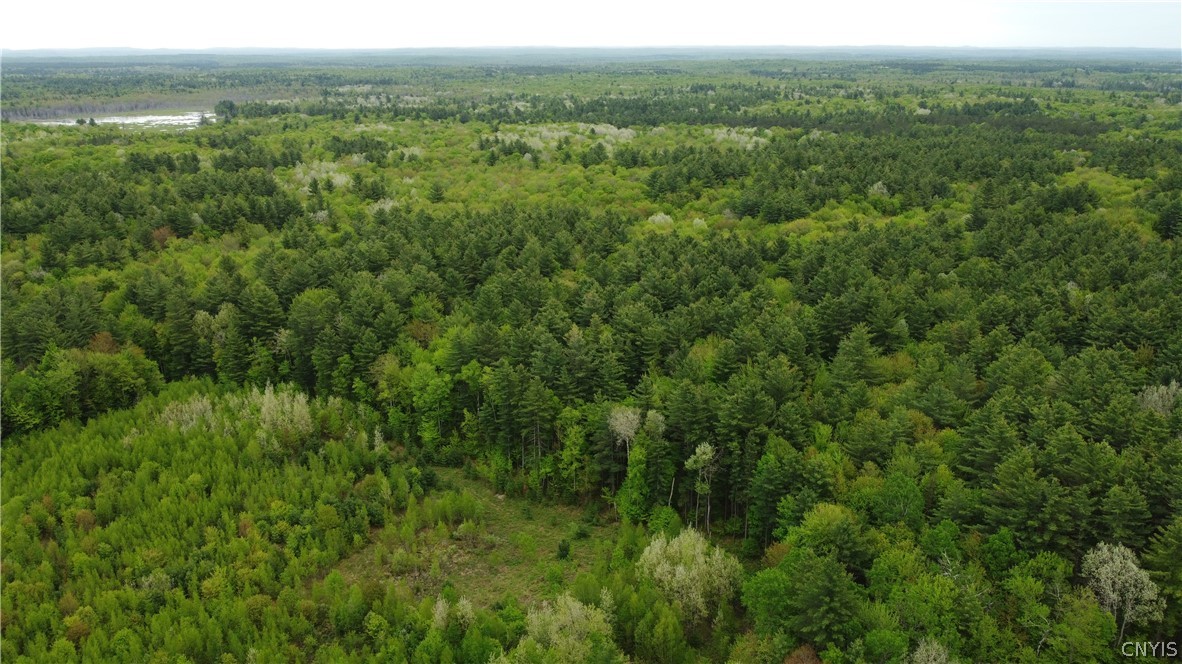 0 Cotton Road Carthage, NY 13619 - Photo 14 of 48