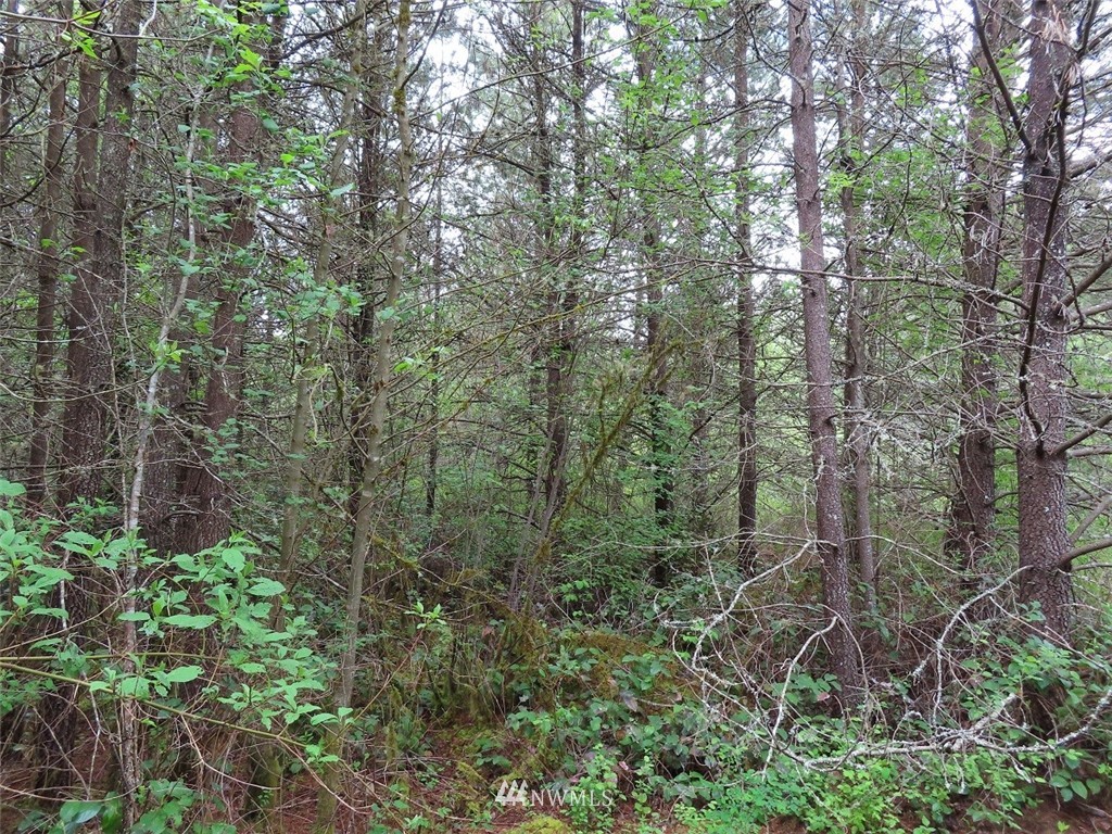 500 Tucker Road Toledo, WA 98591 - Photo 14 of 21