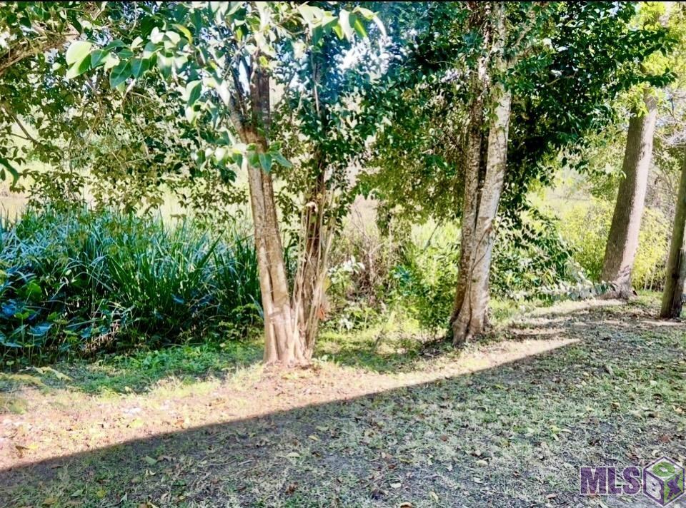 4691 Highway 1 Raceland, LA 70394 - Photo 13 of 34