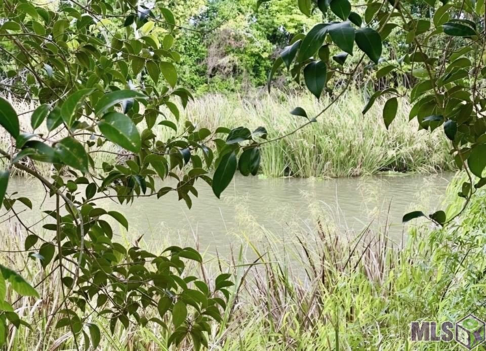 4691 Highway 1 Raceland, LA 70394 - Photo 14 of 14