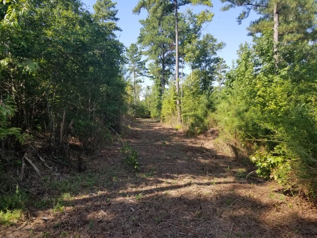 0 Cooks Bridge Road Fountain Inn, SC 29644 - Photo 4 of 14