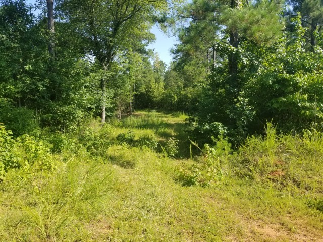 0 Cooks Bridge Road Fountain Inn, SC 29644 - Photo 5 of 14