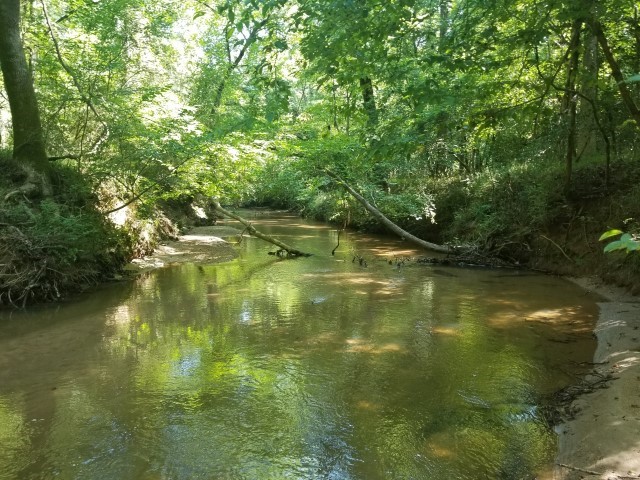 0 Cooks Bridge Road Fountain Inn, SC 29644 - Photo 10 of 14