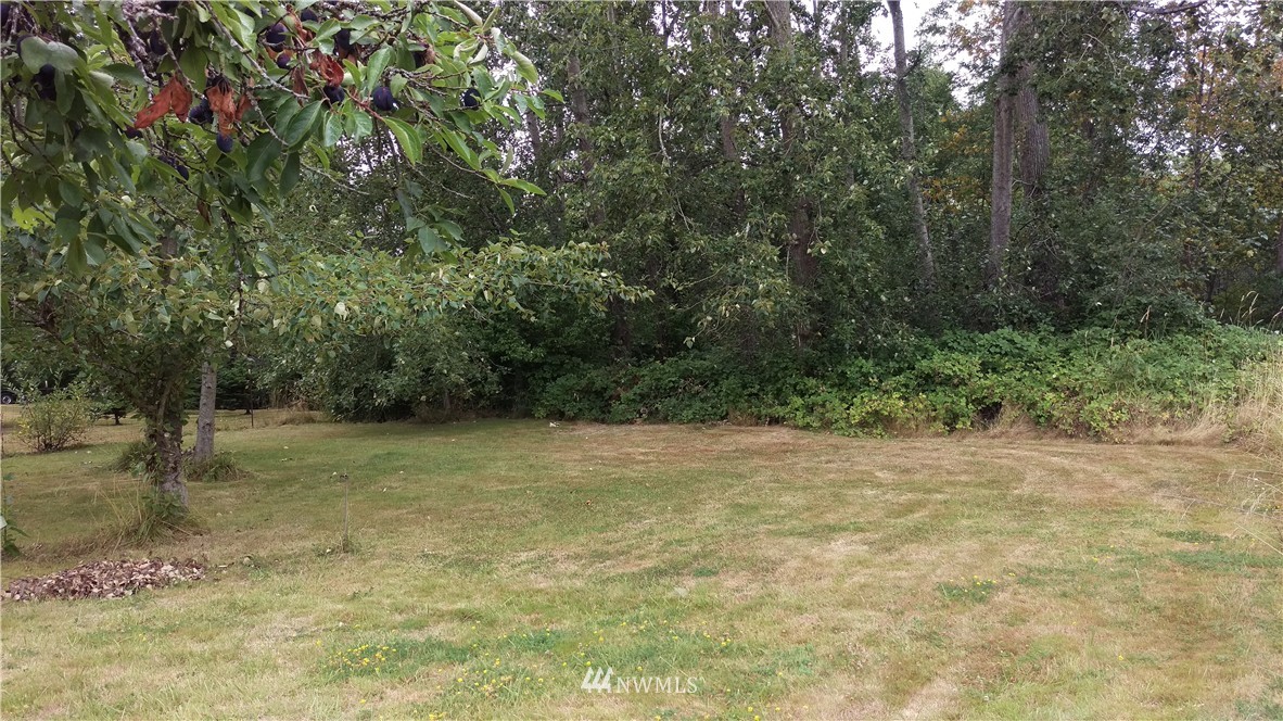 3206 West McLeod Road Bellingham, WA 98225 - Photo 6 of 15 Gallery Image 6