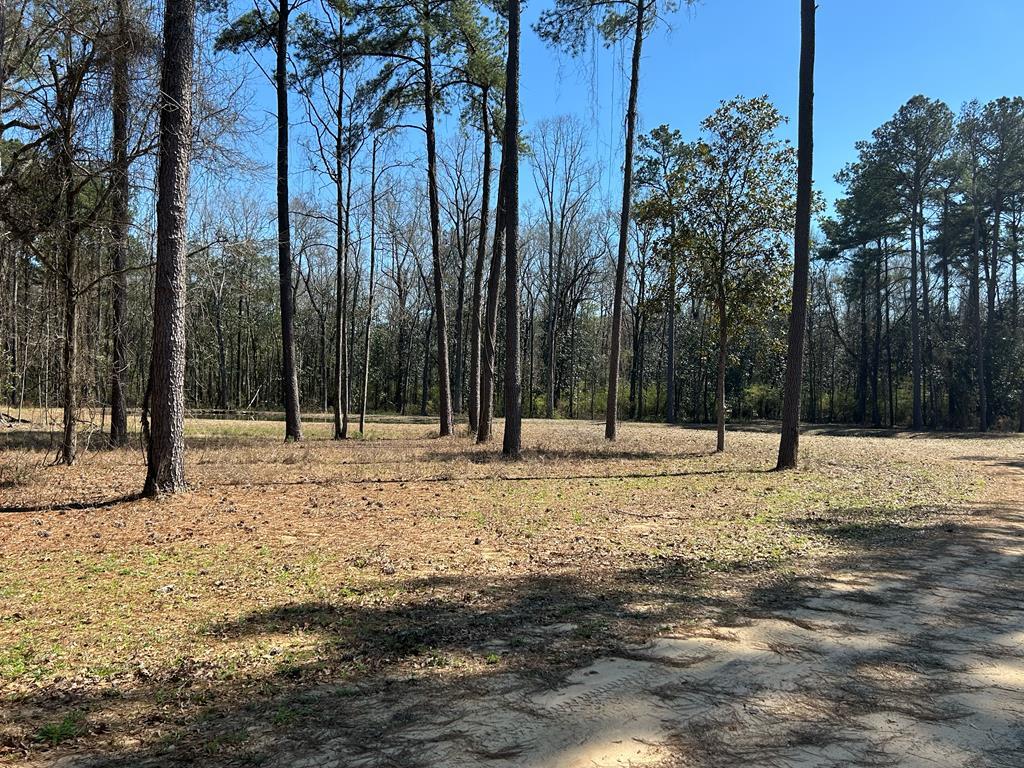 15-ac Webb Road Dothan, AL 36301 - Photo 23 of 33
