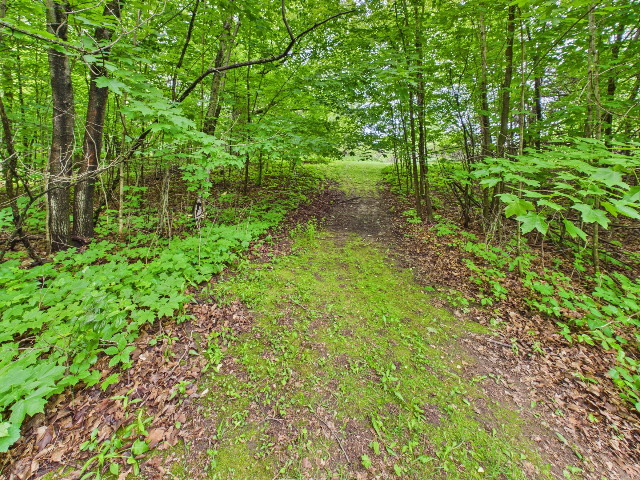 4498 Avery Road Burtrum, MN 56318 - Photo 55 of 65