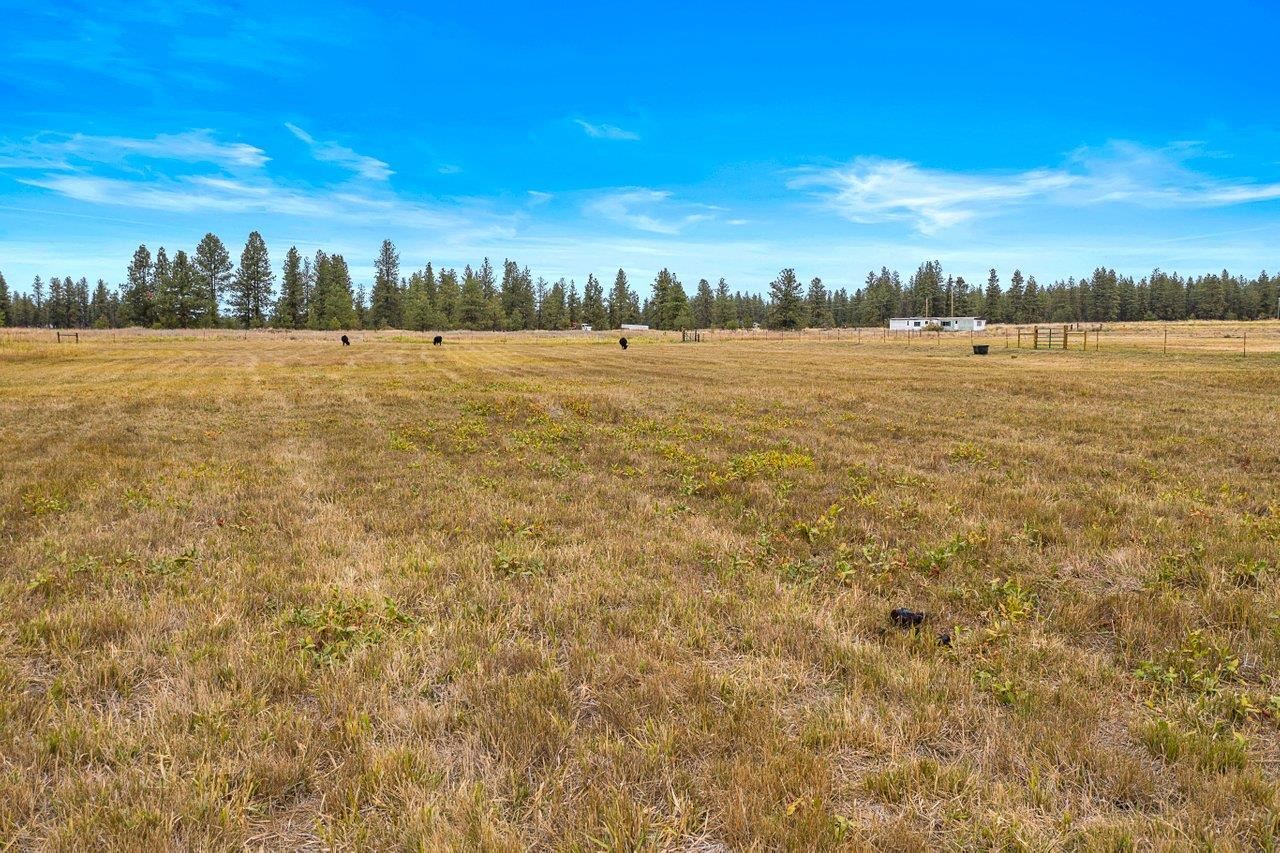 1410 West Paradise Road Spokane, WA 99224 - Photo 10 of 12