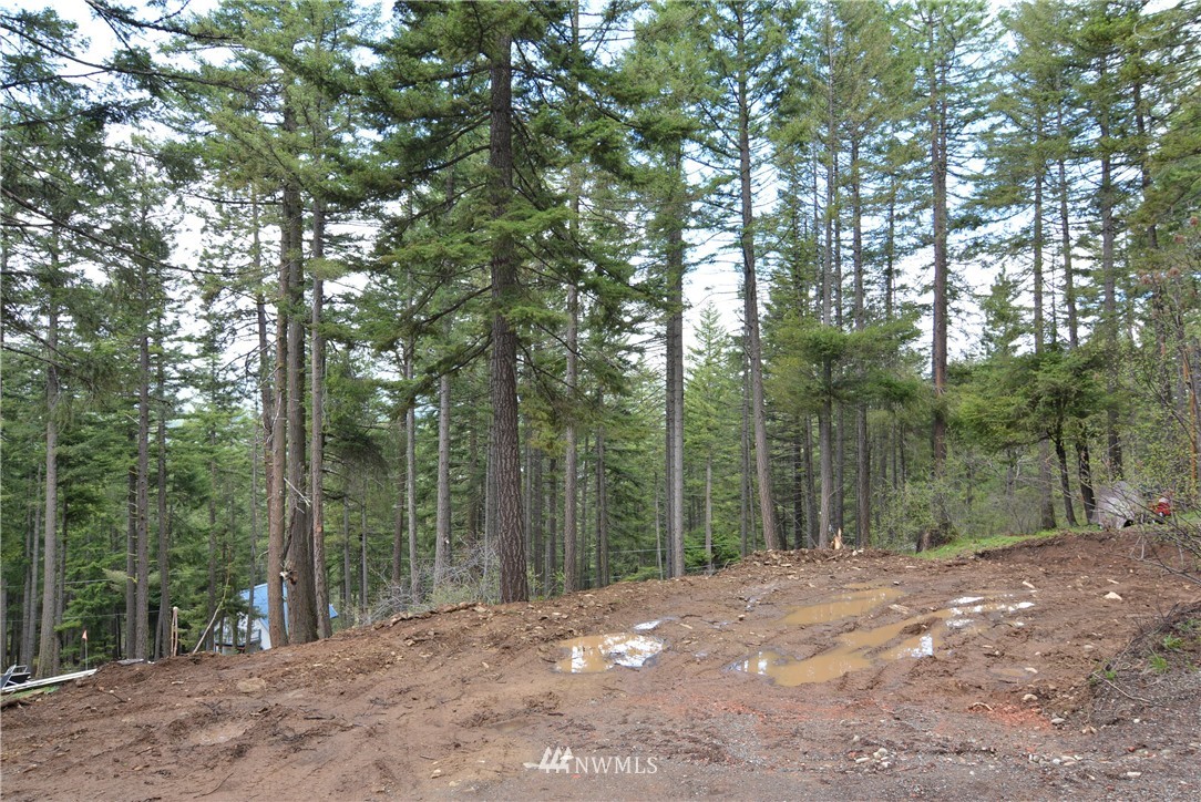 32 Highland Loop Ronald, WA 98940 - Photo 1 of 10 Gallery Image 1