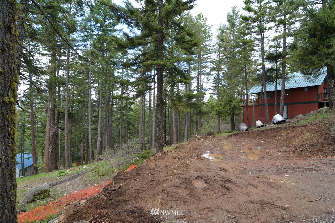 32 Highland Loop Ronald, WA 98940 - Photo 7 of 10 Gallery Image 7