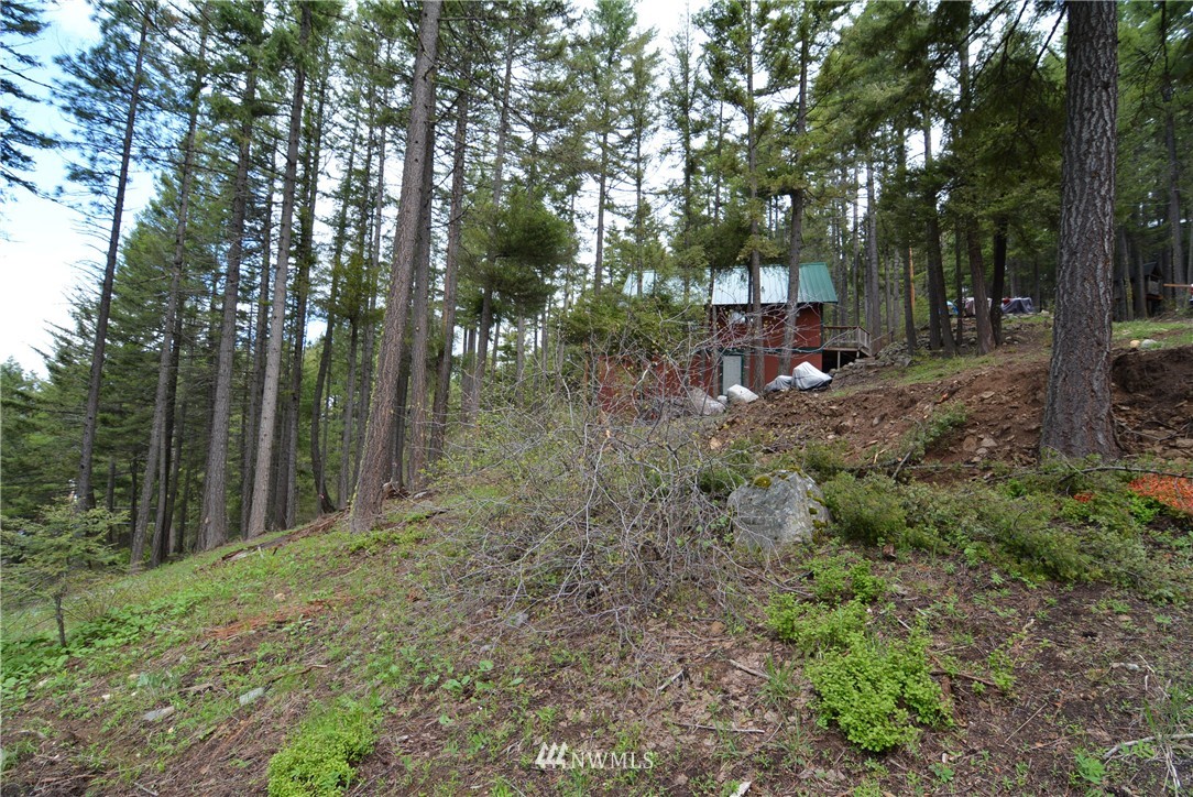 32 Highland Loop Ronald, WA 98940 - Photo 10 of 10 Gallery Image 10