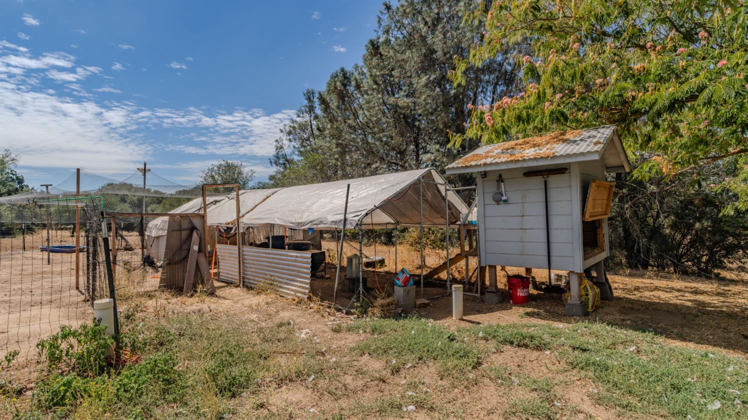 4863 Messing Road Valley Springs, CA 95252 - Photo 9 of 90 Gallery Image 9