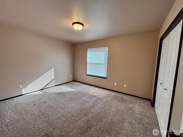a view of a backyard with wooden fence and a large tree