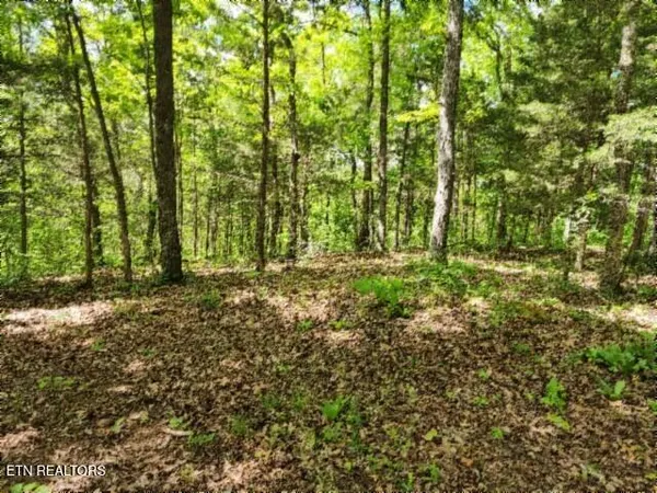 $89,000 | 10.13-ac 10.13-ac Forest Trails Lane, Celina, TN 38551