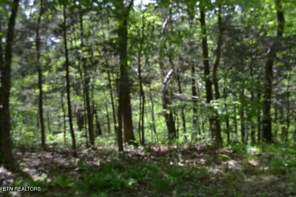 $89,000 | 10.13-ac 10.13-ac Forest Trails Lane, Celina, TN 38551