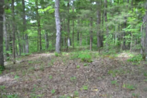 $89,000 | 10.13-ac 10.13-ac Forest Trails Lane, Celina, TN 38551