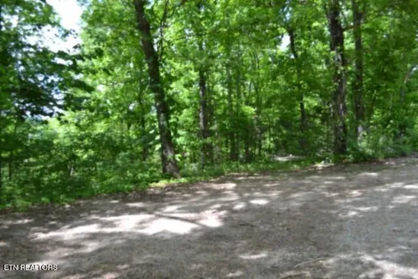 $89,000 | 10.13-ac 10.13-ac Forest Trails Lane, Celina, TN 38551