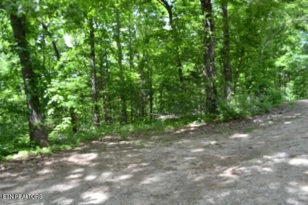 $89,000 | 10.13-ac 10.13-ac Forest Trails Lane, Celina, TN 38551