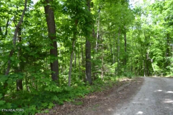 $89,000 | 10.13-ac 10.13-ac Forest Trails Lane, Celina, TN 38551