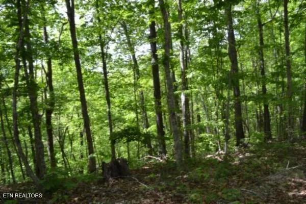 $89,000 | 10.13-ac 10.13-ac Forest Trails Lane, Celina, TN 38551