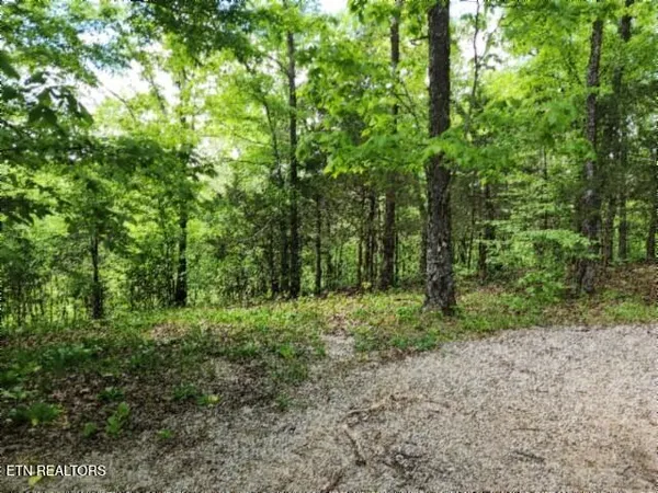 $89,000 | 10.13-ac 10.13-ac Forest Trails Lane, Celina, TN 38551