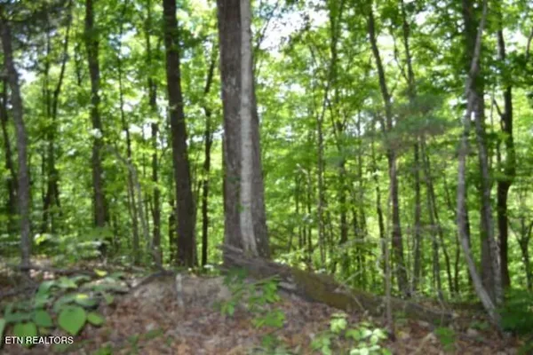 $89,000 | 10.13-ac 10.13-ac Forest Trails Lane, Celina, TN 38551
