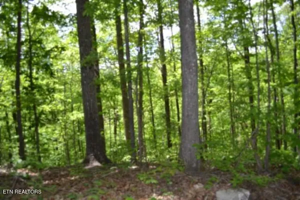 $89,000 | 10.13-ac 10.13-ac Forest Trails Lane, Celina, TN 38551