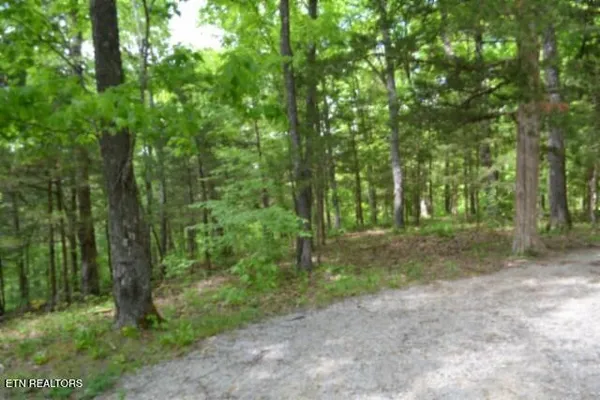 $89,000 | 10.13-ac 10.13-ac Forest Trails Lane, Celina, TN 38551