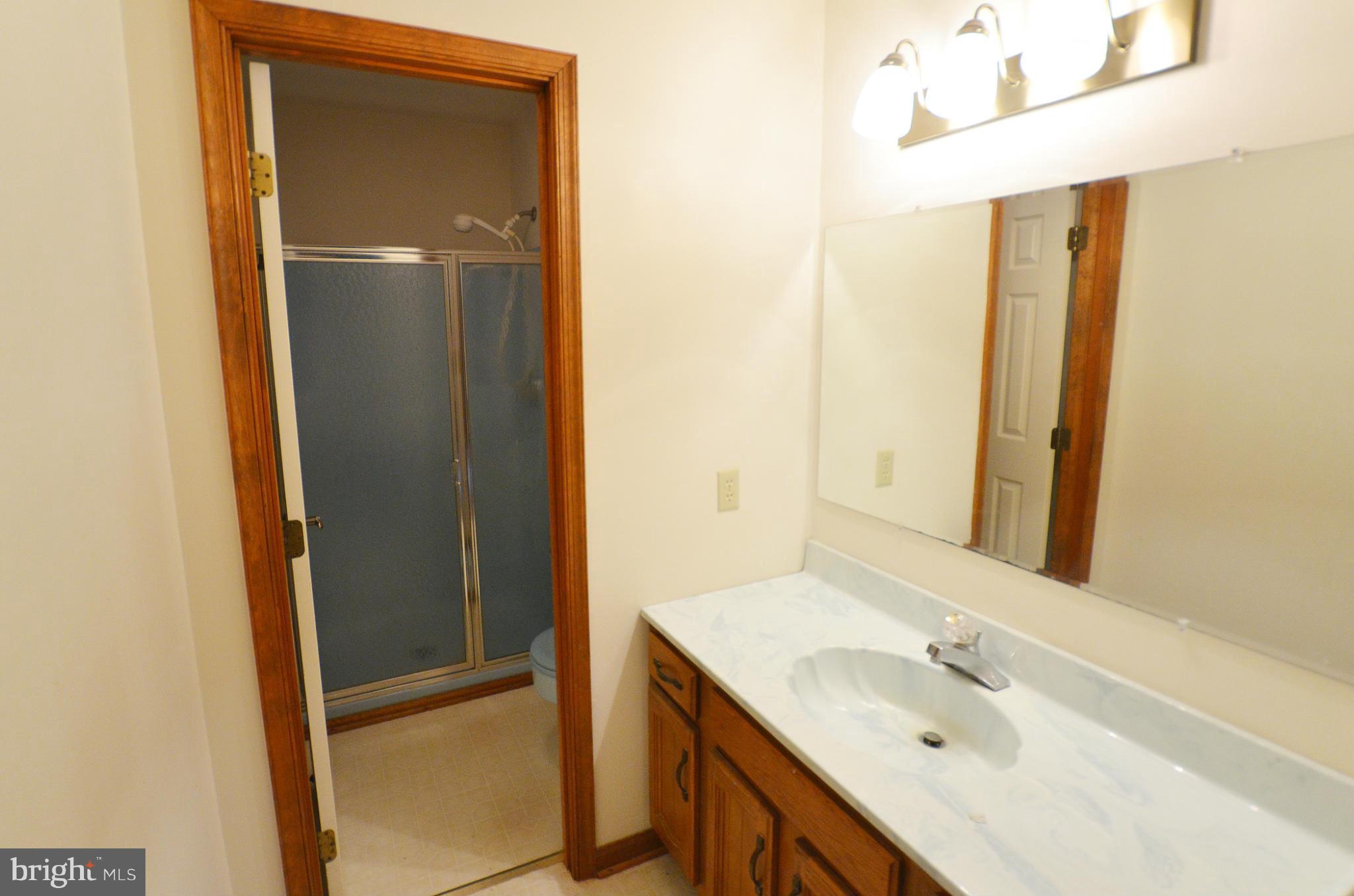 228 North Hayfield Road Winchester, VA 22603 - Photo 11 of 20 Master Bath with Separate Sink Area