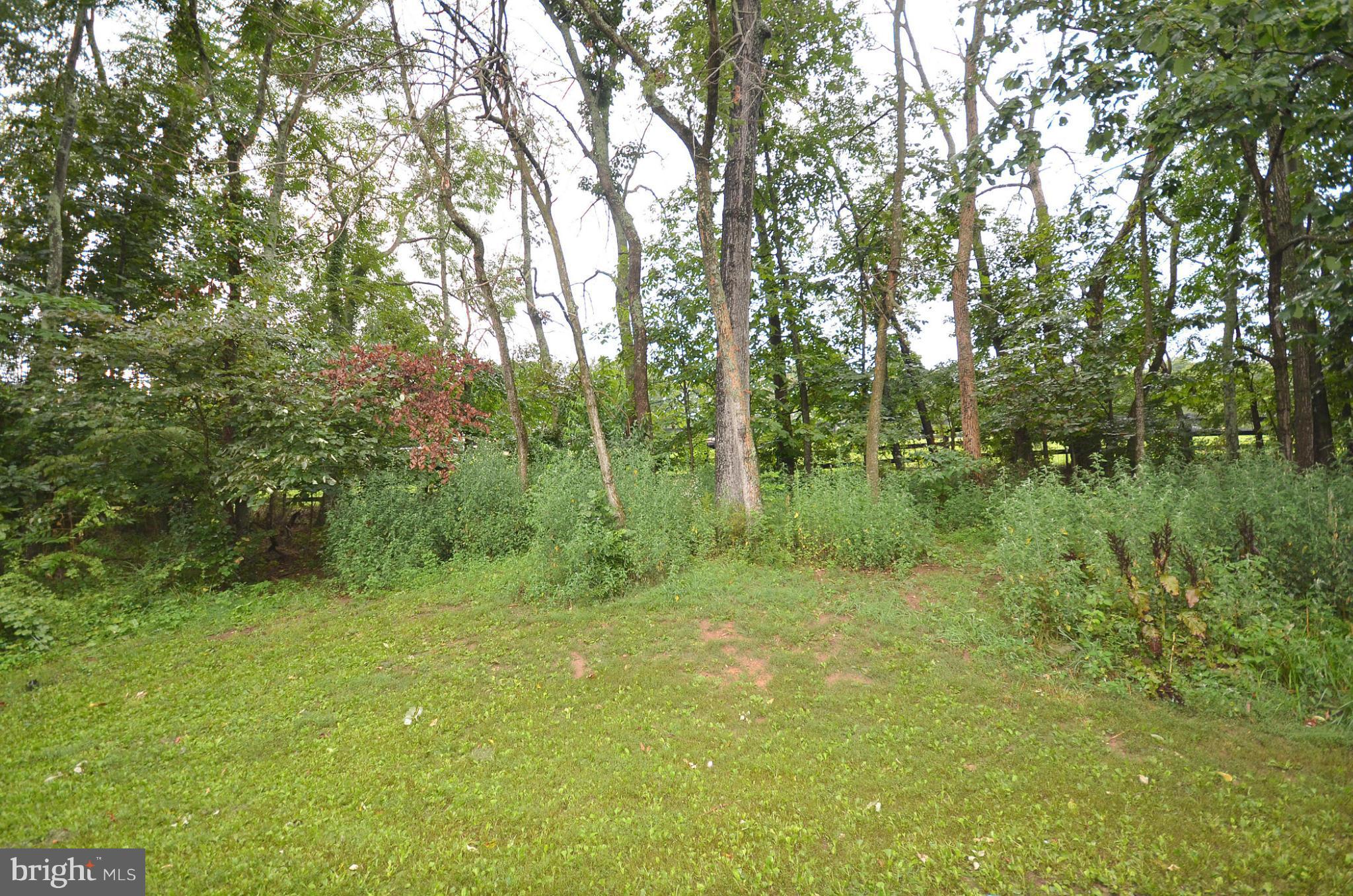 228 North Hayfield Road Winchester, VA 22603 - Photo 19 of 20 Exterior (General)