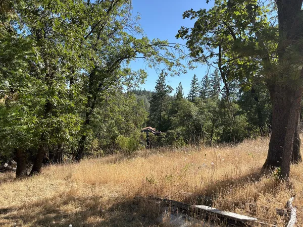 a view of a yard covered in snow