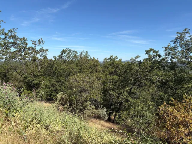 a view of a yard with a tree