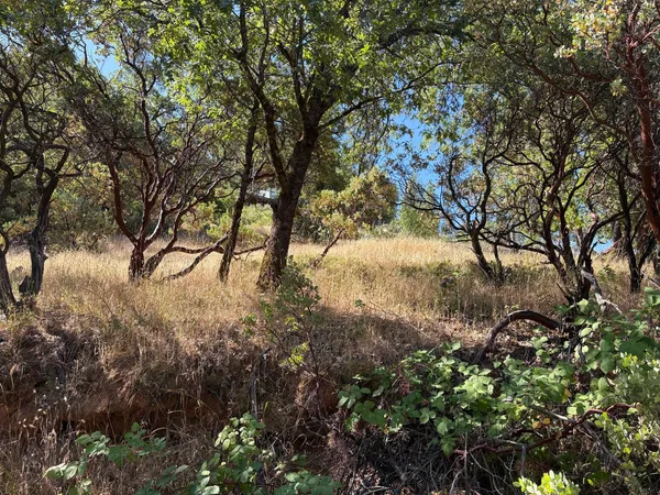 a view of mountain view with lots of trees