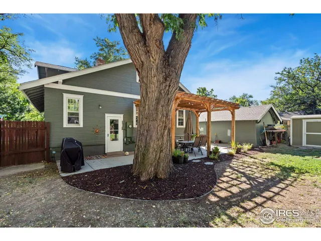 a view of a bunch of trees and bushes