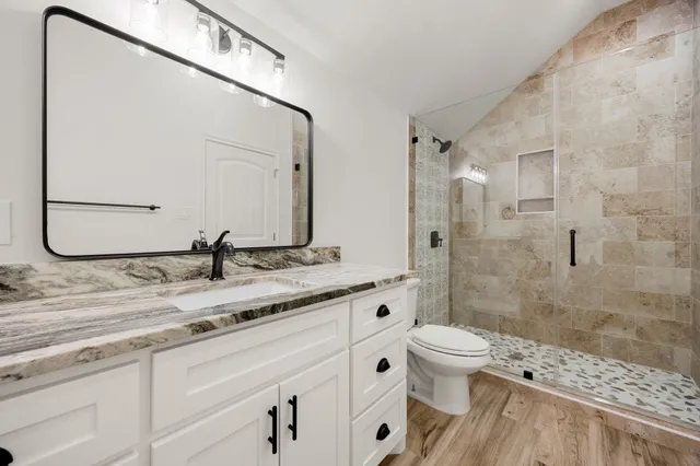 a bathroom with a granite countertop sink a toilet and a mirror