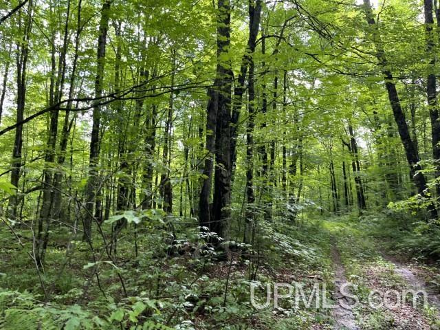 40-acres New DNR Road Crystal Falls, MI 49920 - Photo 2 of 46