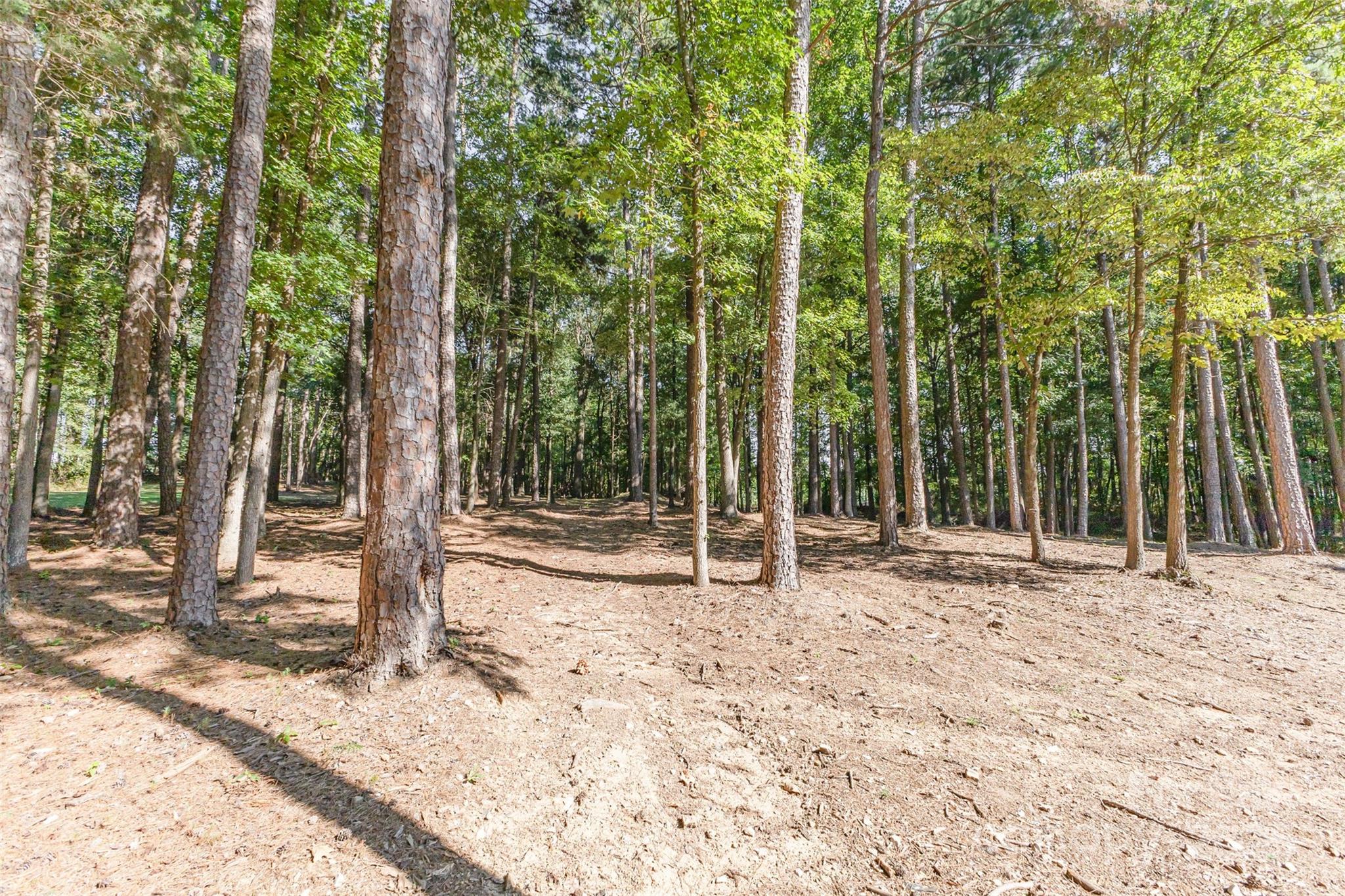 15655 Highway 601 Midland, NC 28107 - Photo 47 of 48