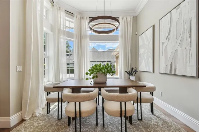 $17,000 | 704 Berrocales De Avila, Tampa, FL 33613