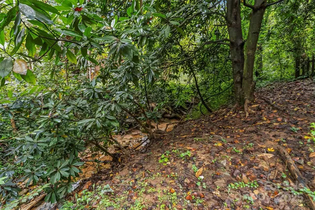 a view of a yard with a tree