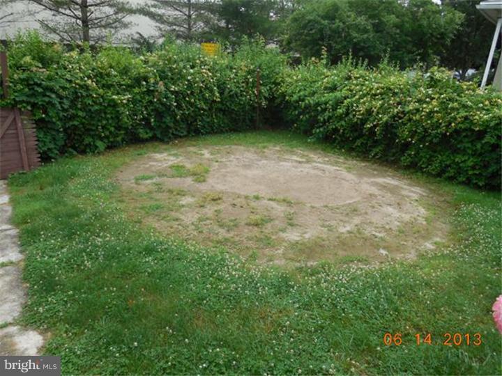 14 West Park Road Havertown, PA 19083 - Photo 14 of 15 a view of a garden with plants