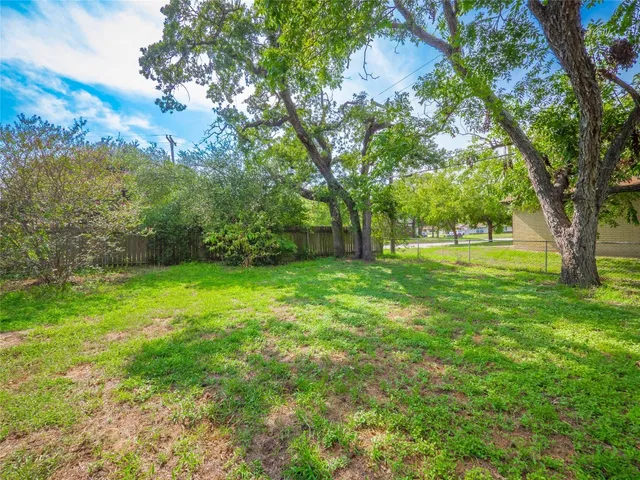 a view of a garden with plants